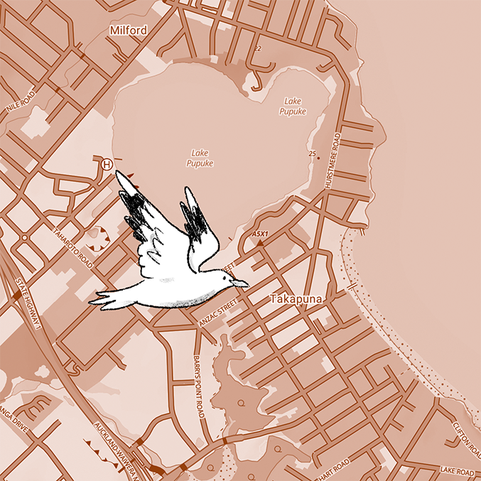 a map of takapuna with a hand drawn bird flying over it
