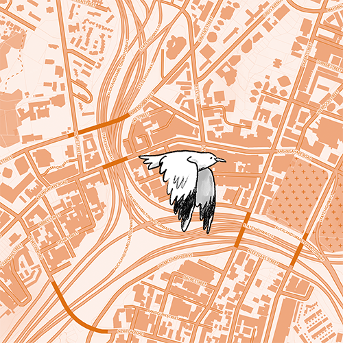 An orange street map with a hand drawn bird flying across it.